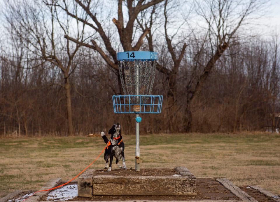 Dogs and their handlers perform live find and human remains search and rescue exercises with SOCS, Southern Ohio Canine Search and Rescue at Yochtangee Park Annex on Feb. 2, 2023 in Chillicothe, Ohio.