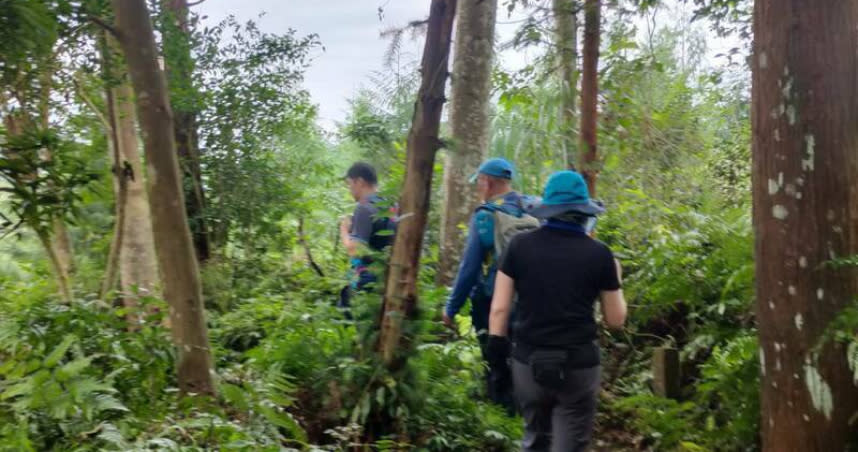 42人登山團神仙縱走到苗栗「神仙縱走」健行時，突遇虎頭蜂竄出8人被蜂螫。（圖／翻攝畫面）