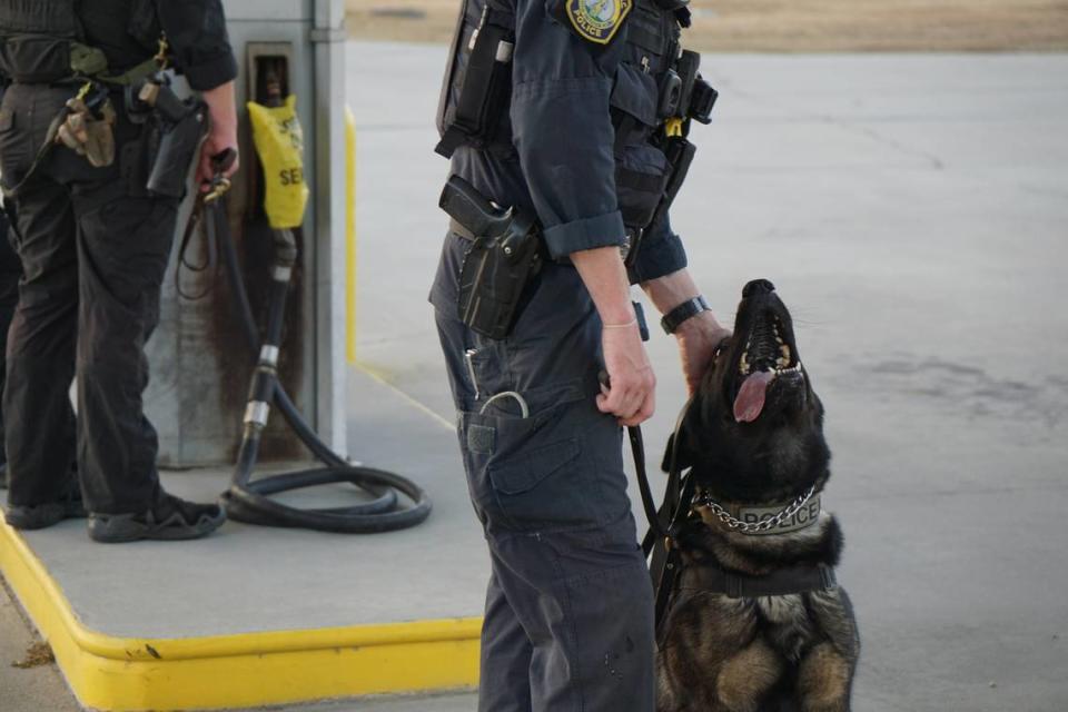 A Columbia Police Department K-9 handler scratches Echo, a 3 year-old German Shepherd behind the ears during a break searching cars. Ted Clifford