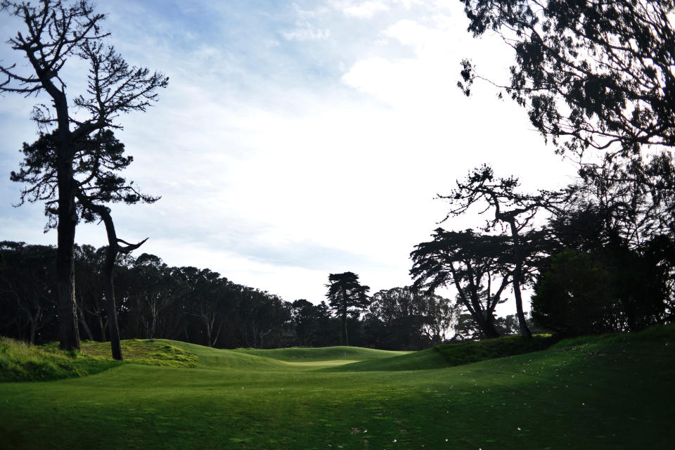 Golden Gate Park