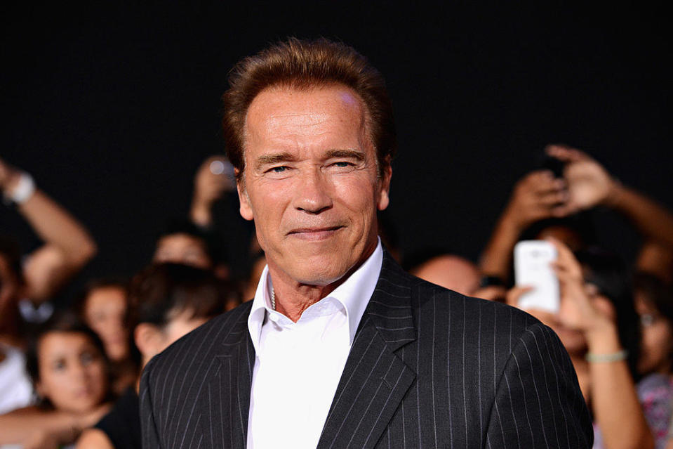 Arnold Schwarzenegger smiling amid a crowd