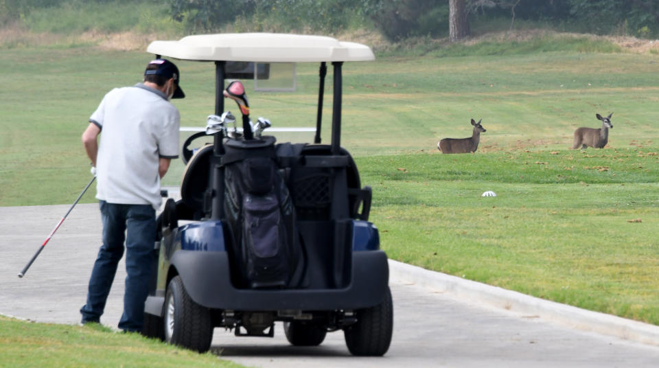 LOS ANGELES, CA - MAY 09:  Dear cross the course as golfers play for the first time in Los Angeles County in months due to the Coronavirus Pandemic at Wilson & Harding Golf Courses as people get out of their home and walk, jog, cycle or ride horses in Griffith Park on the first day Los Angeles County easing of the stay at home orders in Los Angeles on Saturday, May 9, 2020. (Photo by Keith Birmingham/MediaNews Group/Pasadena Star-News via Getty Images)