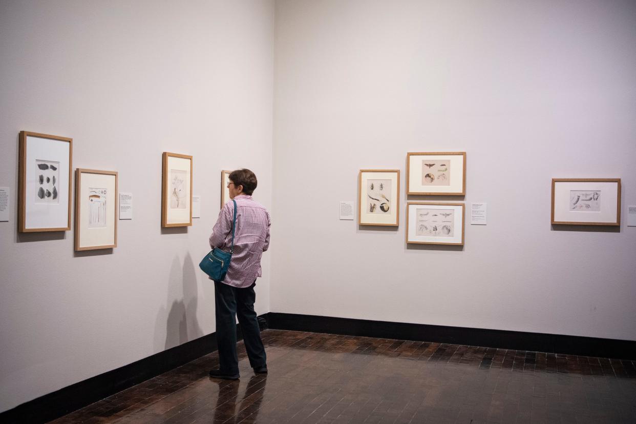 Guests visit the Beatrix Potter exhibit at the Frist Museum of Art in Nashville, Tenn., Monday, Aug. 14, 2023.