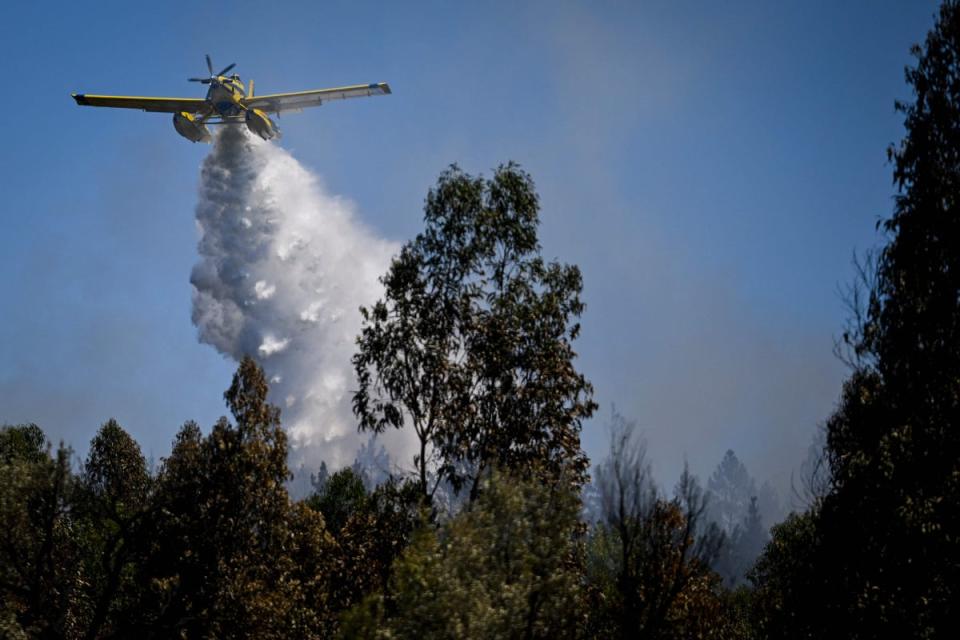 A firefighter airplane drops water in a wildfire in Carrascal, Proenca a Nova (AFP via Getty Images)