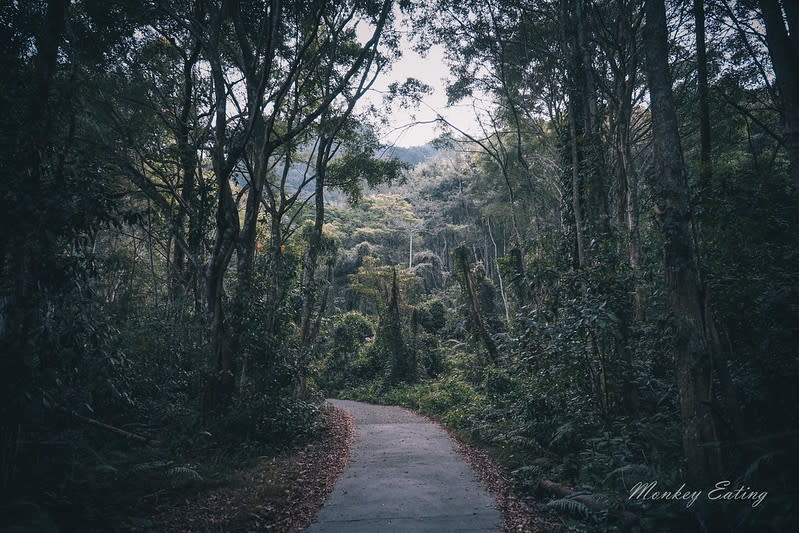 台中｜谷關七雄 白毛山步道