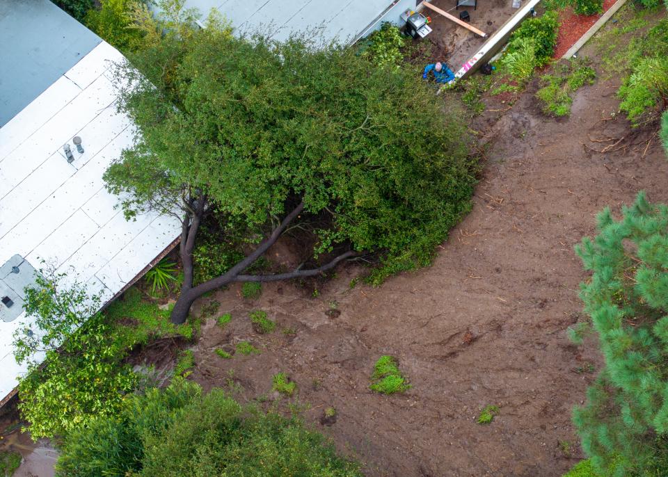 An aerial view of a mudslide in Los Angeles, California that knocked down a tree on Monday (AFP via Getty Images)
