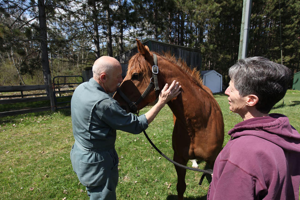 NGC: The Incredible Dr Pol II: Ep 15 What's Up DocEp code: 8804