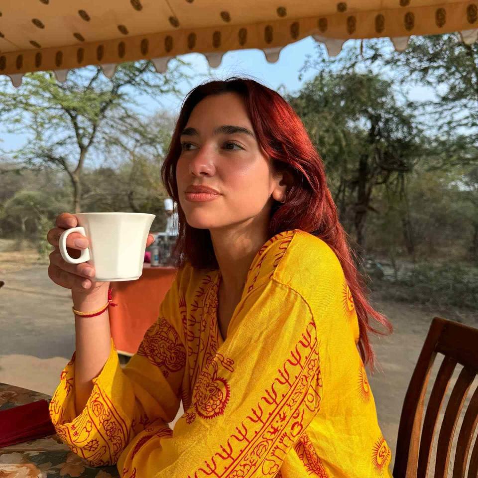 <p>Dua Lipa Instagram</p>