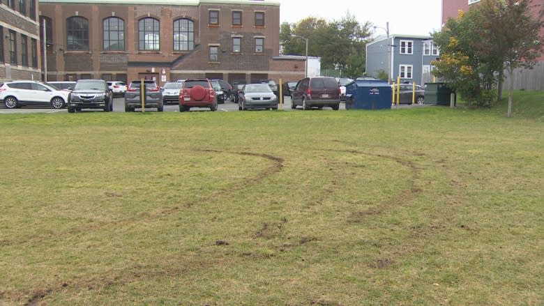 Vandals hit the field at Bishop Feild Elementary in St. John's