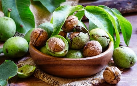 Fresh walnuts in a green shell with leaf, vintage wooden background, selective focus - Credit: Getty Images Contributor/Getty Images Contributor