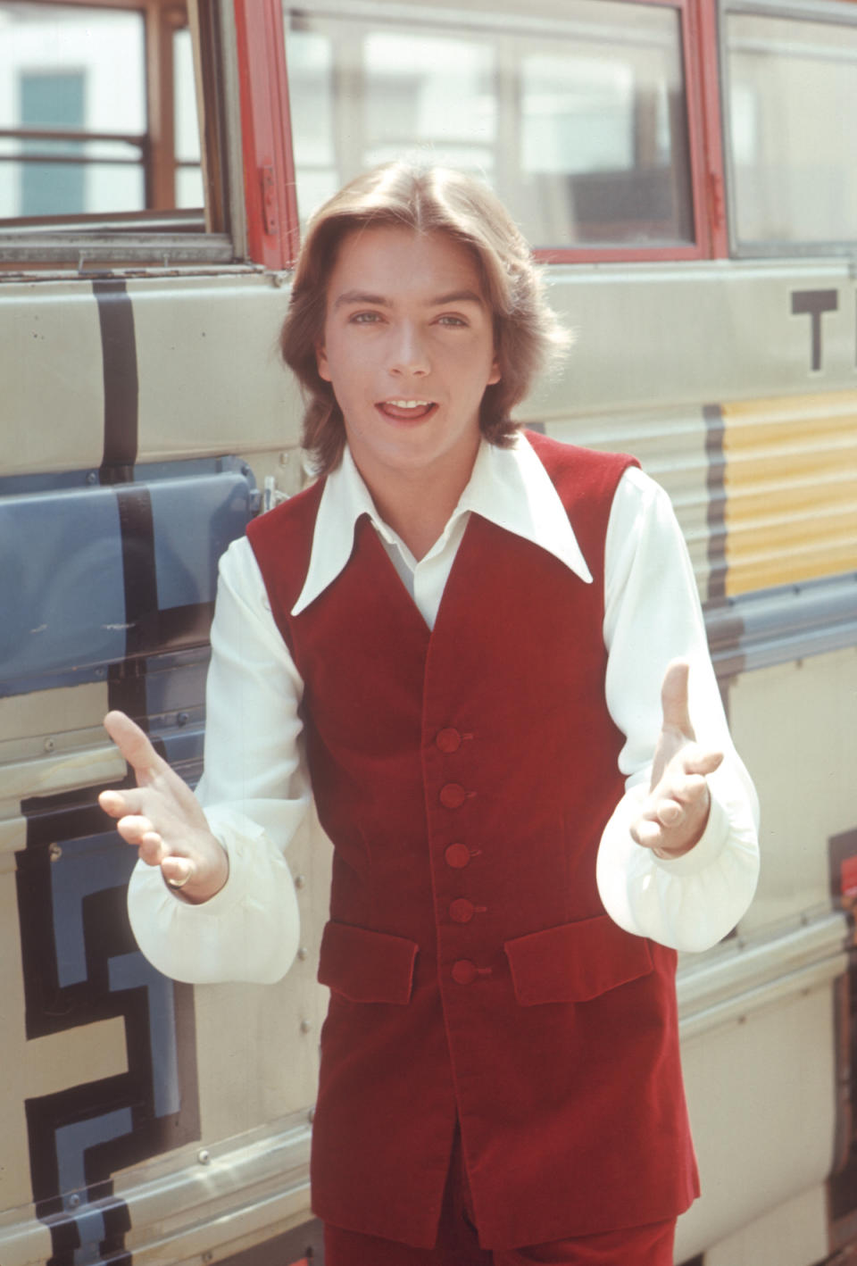 David Cassidy: The Ultimate '70s Teen Idol