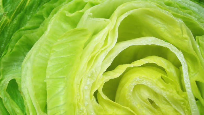 Green lettuce leaves