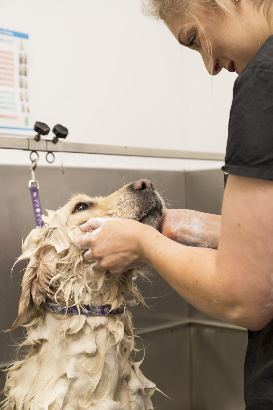 Pets at Home continued to enjoy the boom in pet ownership (Pets at Home/PA)