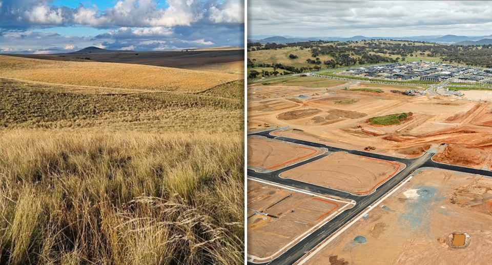 Left - grasslands used by the dragons. Right - land clearing for housing.