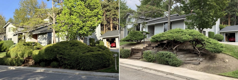 This combination of photos shows the front yard of Rebecca Boone and Paul Terhaar in Boise, Idaho on on April 26, 2020, left, and again after a landscape renovation on on Aug. 21, 2021. (Paul Terhaar via AP)