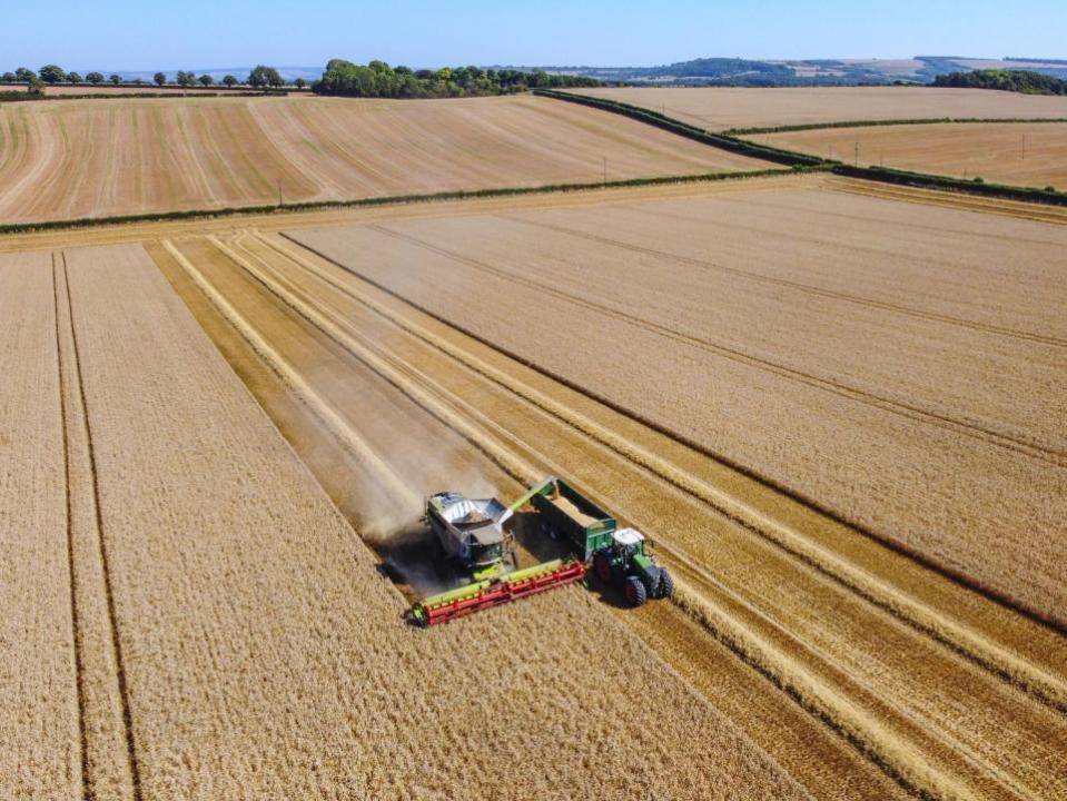 Bradford Telegraph and Argus: Beer prices could be increased as wet weather is still disrupting the planting of spring crops such as barley