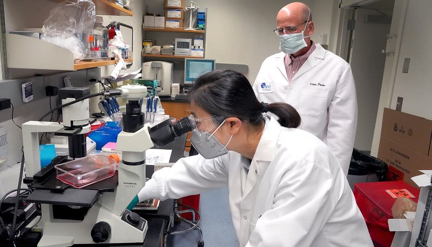 BROOKLYN, NY - SEPTEMBER 18, 2020 : IAVI (International AIDS Vaccine Initiative) is a nonprofit scientific research organization dedicated to addressing urgent, unmet global health challenges including HIV, tuberculosis and now COVID-19. Scientist Maoli Yuan and Chris Parks work on a vaccine for the COVID-19 virus.