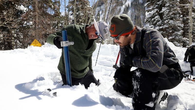 Snow surveyors use a federal snow tube to measure the current snowpack at the Atwater SNOwpack TELemetry (SNOTEL) site in Alta on Thursday. Utah’s snowpack is the highest it has ever been for this point in the year since at least 1980.