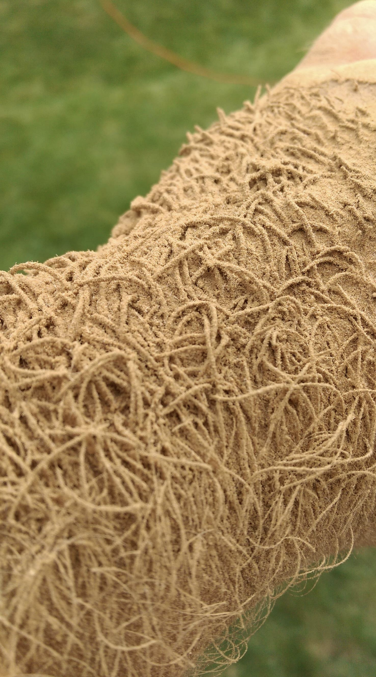 A close-up view of an arm covered in a thick layer of brownish, stringy, fibrous material, resembling tree roots or plant fibers. The background shows green grass