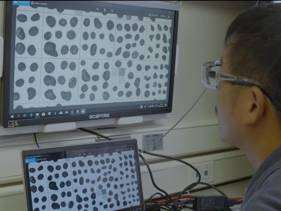 A researcher looks at a digital scan of various nodules.