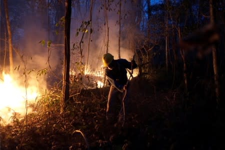 A man works to stop wildfires in Santa Monica near Concepcion