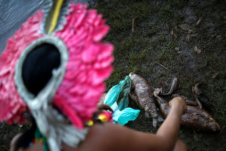 An Indigenous woman from the Pataxo Ha-ha-hae tribe looks at dead fish near Paraopeba river, after a tailings dam owned by Brazilian mining company Vale SA collapsed, in Sao Joaquim de Bicas near Brumadinho, Brazil January 28, 2019. REUTERS/Adriano Machado