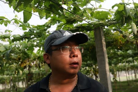 Jhang Hong-si is pictured at his bitter gourd farm in Yunlin