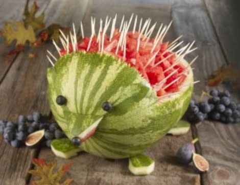 Watermelon Hedgehog 