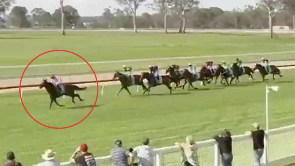 Jockey Anthony Allen went all out one lap earlier than needed. Pic: Twitter