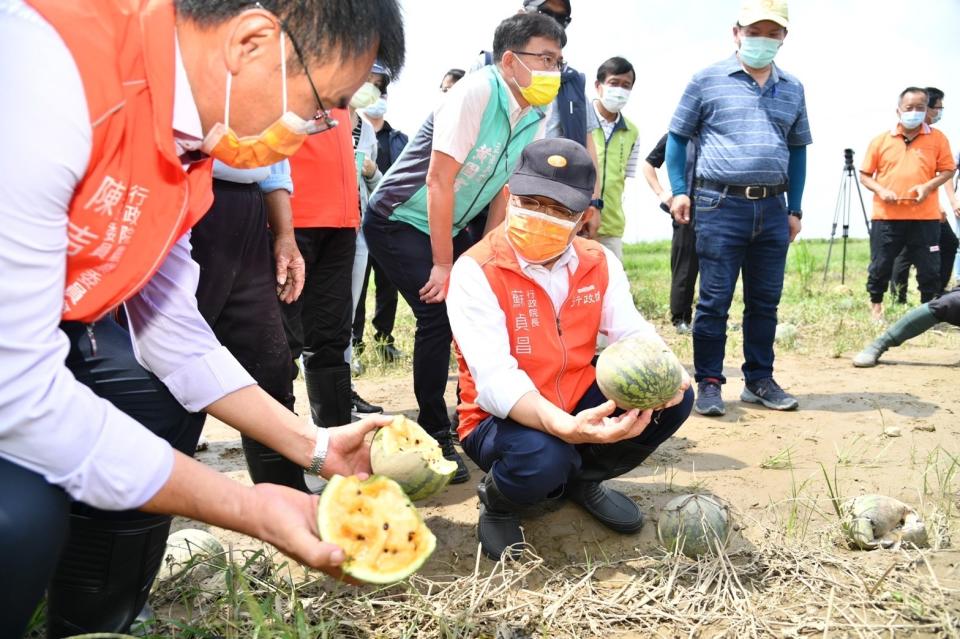 蘇揆堅稱認知作戰 藍斥搞錯方向：執政怠惰還打壓言論自由