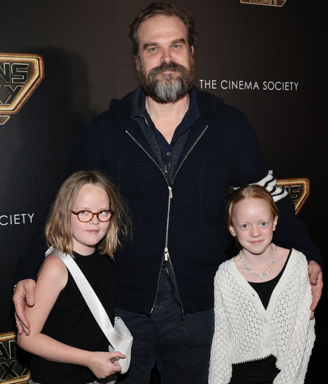 David Harbour - IMDb