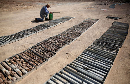 FILE PHOTO: Geologist Rick Cavaney works near collected core samples in the Eastern Desert near the southern province of Luxor, Egypt May 20, 2016. Picture taken May 20, 2016.REUTERS/Amr Abdallah Dalsh/File photo