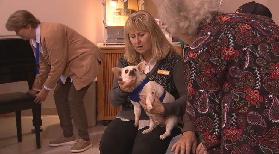 A Preble County Chihuahua hit a huge milestone today —his 23rd birthday!