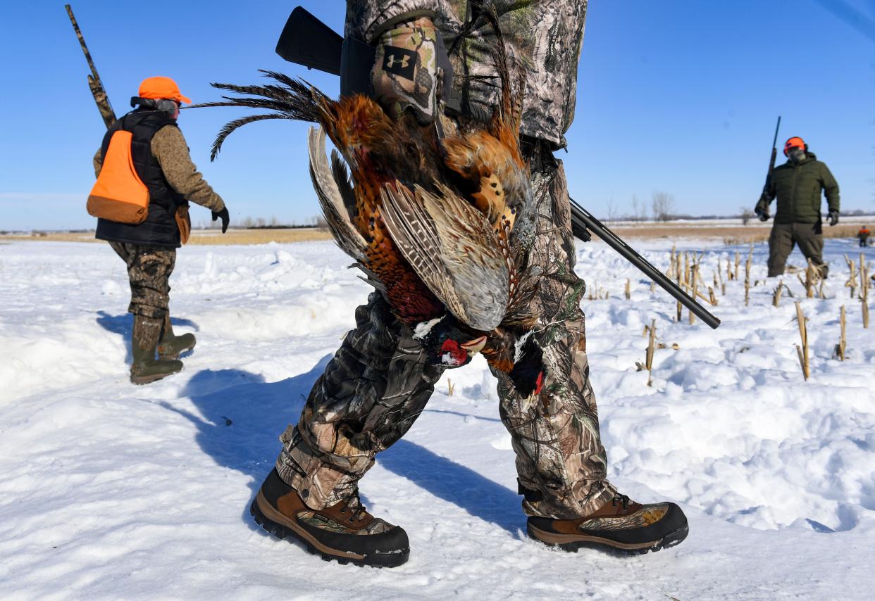 A veteran carries pheasants back to the lodge after hunting on a Wings of Valor retreat on Friday, February 17, 2023, in Parker, SD.