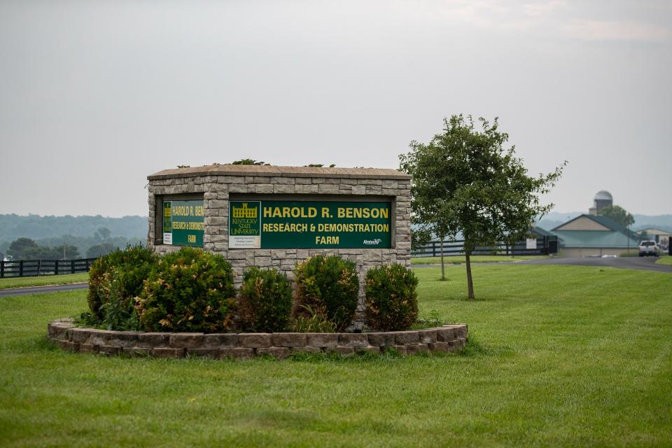 KSU's Harold R. Benson Research & Demonstration Farm in Frankfort, Ky. is the only full-time pawpaw research program in the world as part of the Kentucky State University Land Grant Program. July 17, 2023