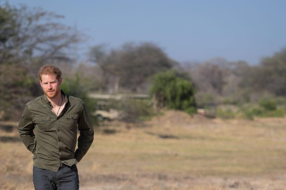 prince harry in botswana