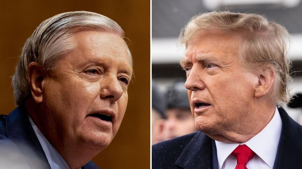 Lindsey Graham and Donald Trump