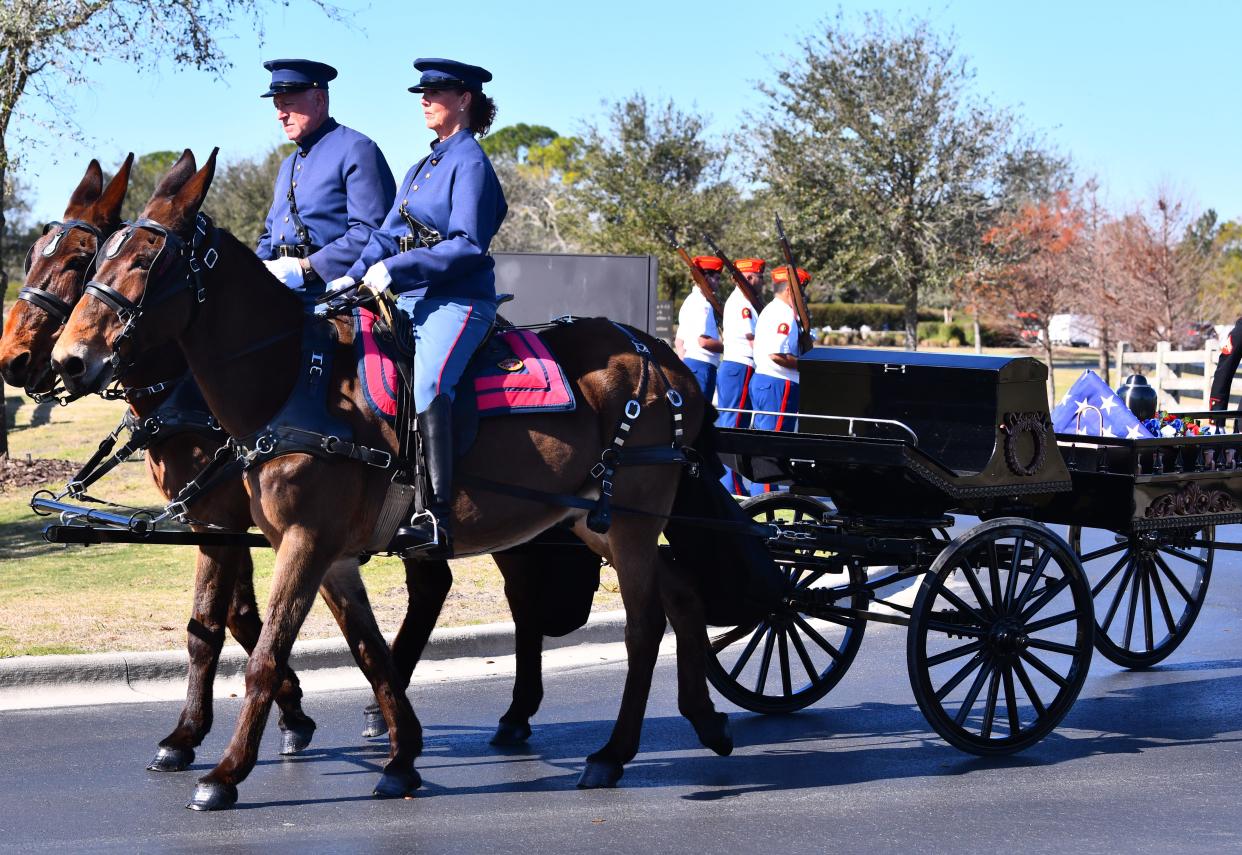 Tom and Denise Fitzgerald guide their mule-drawn caisson during a military funeral for WWII Marine Corps veteran Frank Roth on Jan. 27 at Cape Canaveral National Cemetery in Scottsmoor.