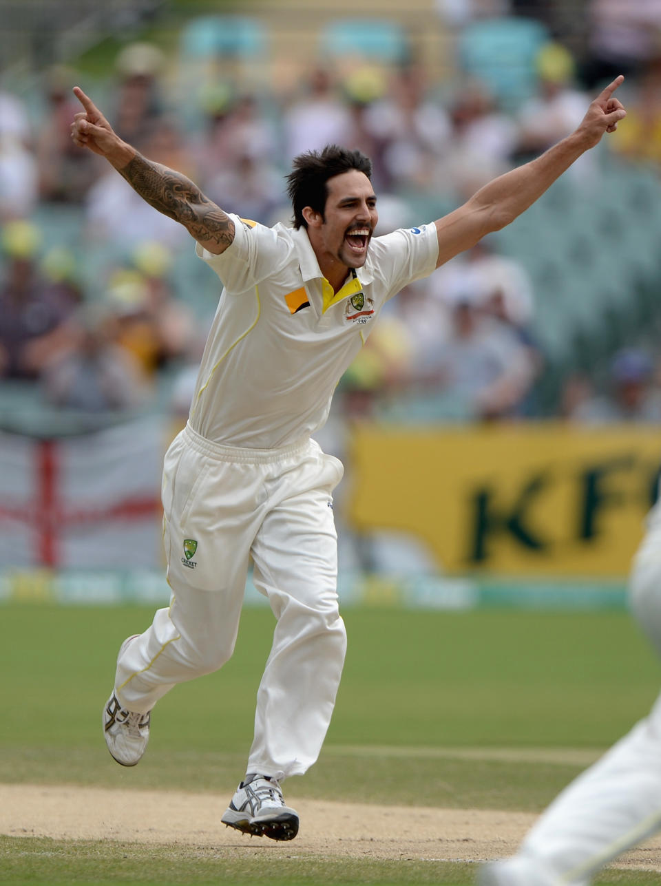 Taunted by England fans, Mitchell Johnson – powered by his Movember tache – helped the Aussies whitewash England in 2013-14