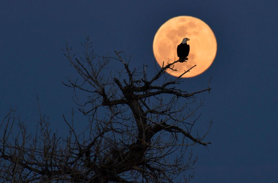 Stunning Photos of Last Night’s Super Pink Moon—the Biggest and Brightest of the Year