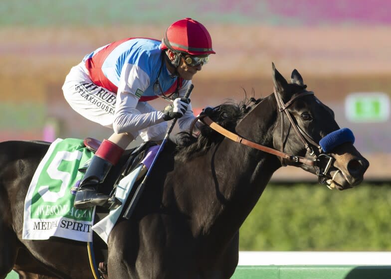 In a photo provided by Benoit Photo, Medina Spirit and jockey John Velazquez win the Grade I, $300,000 Awesome Again, Saturday, Oct. 2, 2021 at Santa Anita Park in Arcadia, Calif.(Benoit Photo via AP)