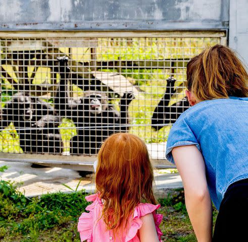 <p>Kate Mara Instagram</p> Kate Mara and her daughter visit a chimp sanctuary in 2023.