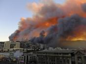 Smoke from a forest fire is seen in Valparaiso city, northwest of Santiago, April 12, 2014. More than 50 homes were burned due to the forest fire but there have been no reports of death or injuries, local authorities said. REUTERS/Cesar Pincheira (CHILE - Tags: ENVIRONMENT DISASTER)