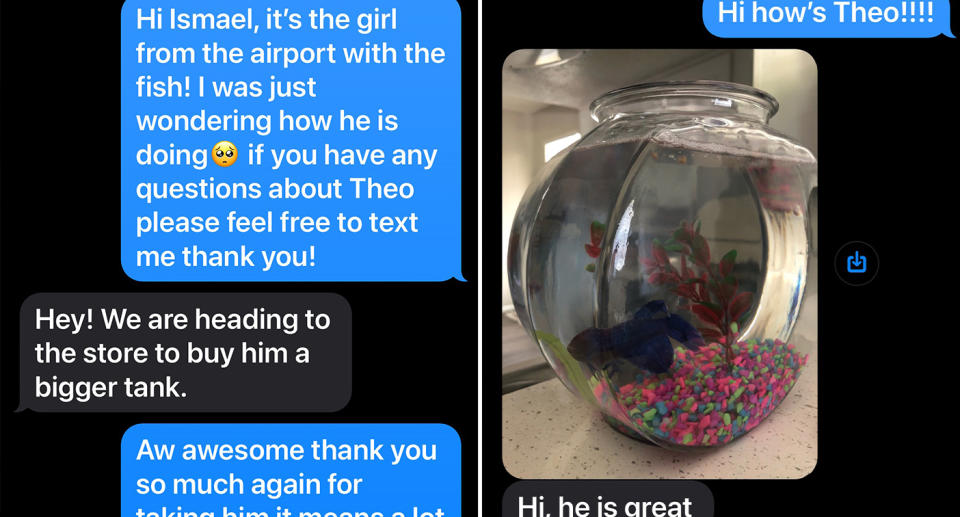 Text messages between Ismael and Kira about Theo.