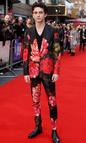 <p> Tim P. Whitby/Tim P. Whitby/Getty</p> Timothee Chalamet attends the UK Premiere of "Beautiful Boy" & Headline gala during the 62nd BFI London Film Festival on October 13, 2018.