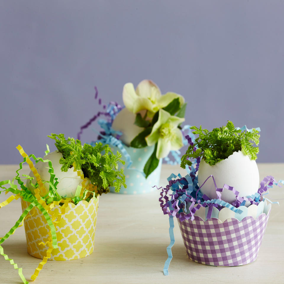 Eggshell Planters