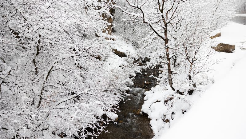 Snow falls around Mill Creek at Mill Creek Canyon in Salt Lake City on Monday. Utah’s snowpack hit an all-time record on Tuesday, as flooding concerns continue with warmer temperatures coming.