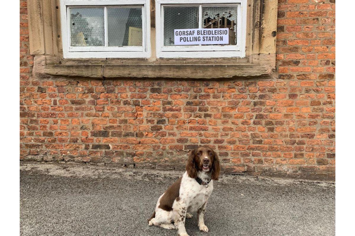 After learning there was no Anarchist Federation box, this voter reportedly smashed a window and fled. <i>(Image: Newsquest)</i>