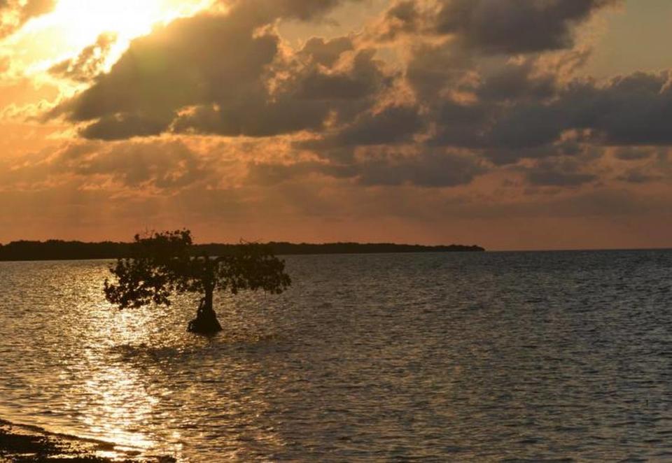 The sun rises over the water at Long Key State Park. Photo courtesy of Florida State Parks.