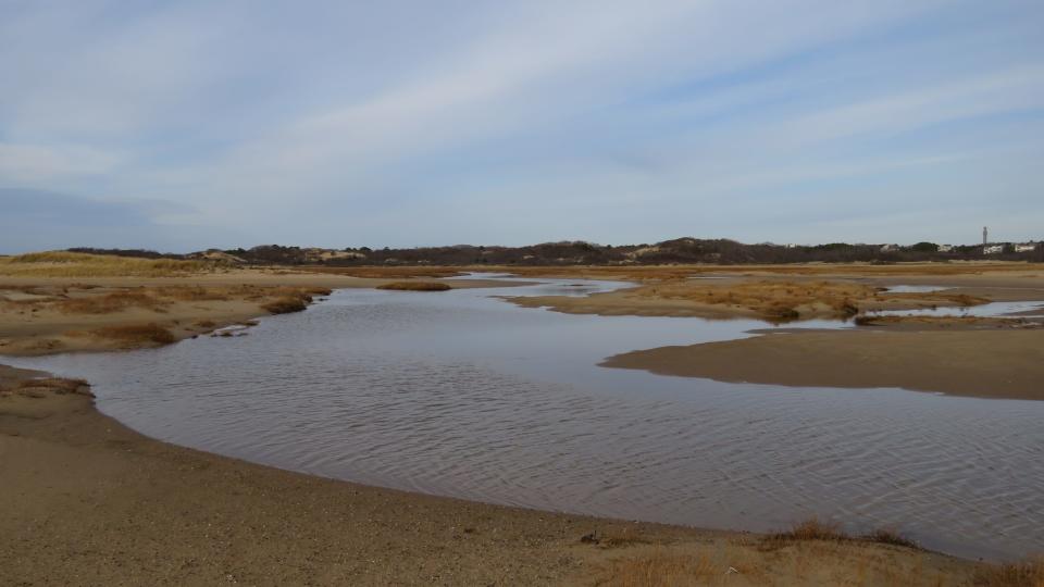 A look into the watery world that I traversed on a hike in Provincetown's West End. Note the Pilgrim Monument peeking out at the right of the photo.